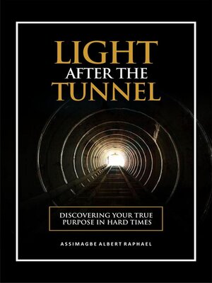 cover image of The Light After the Tunnel